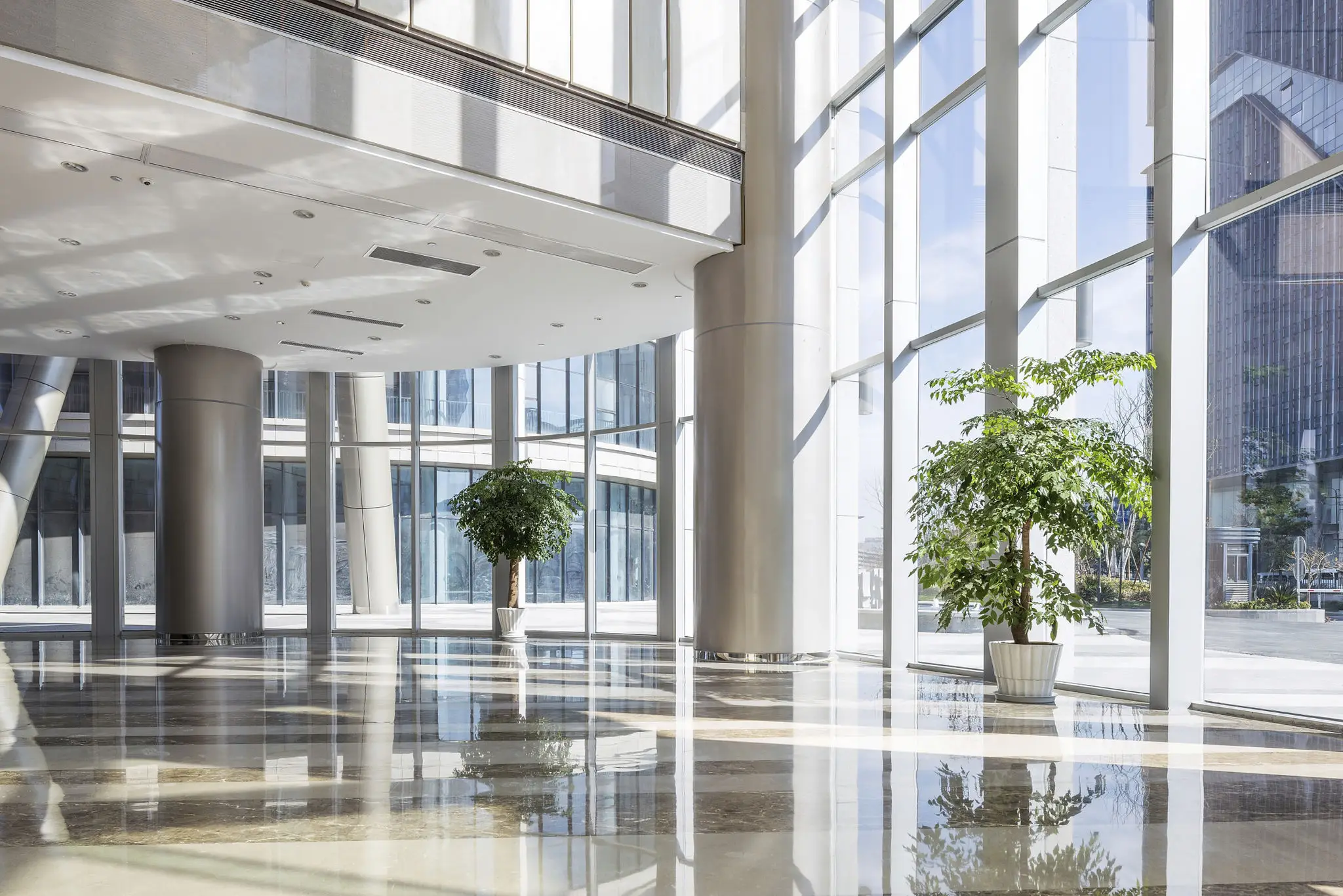 Bright modern office lobby with large windows and indoor plants.
